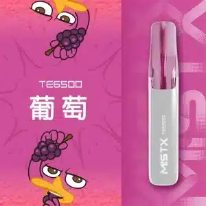 MIST X TE6500 鴨嘴獸電子煙 – 椰子水口味熱銷款