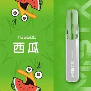 MISTX TE6500 鴨嘴獸一次性電子煙｜6500口｜台灣現貨